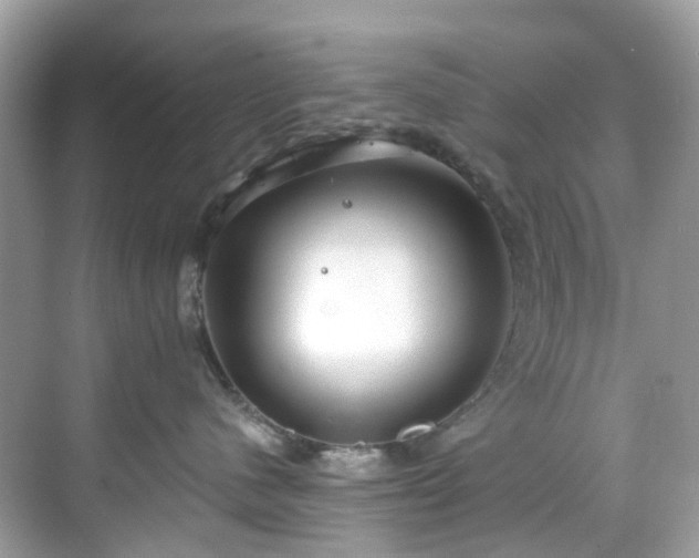 X0000068730480200605051504