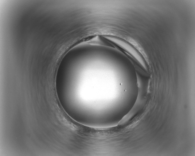 X0000068730481200605051503