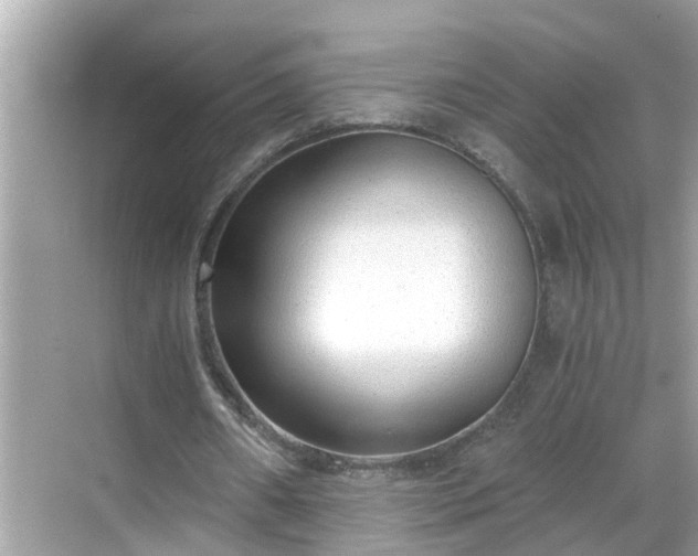 X0000068730482200605051503