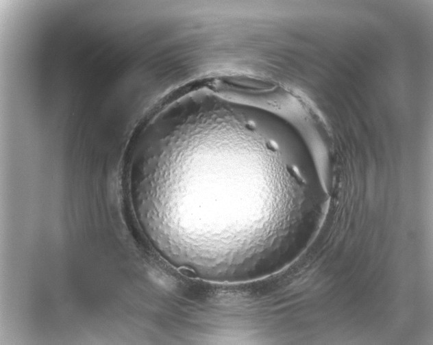 X0000068730487200605051503