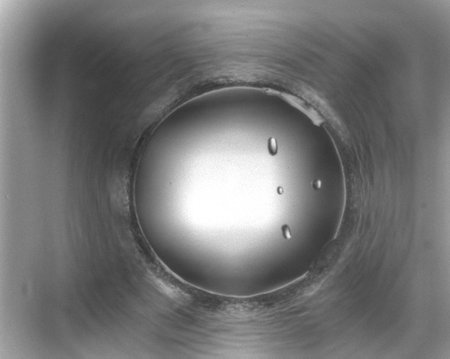 X0000068730489200605051503