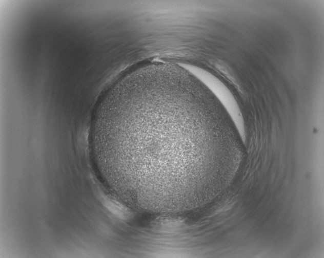 X0000068730491200605051503