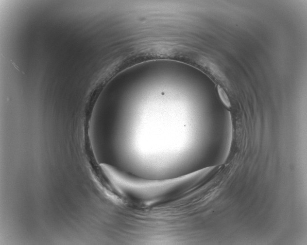 X0000068730493200605051502