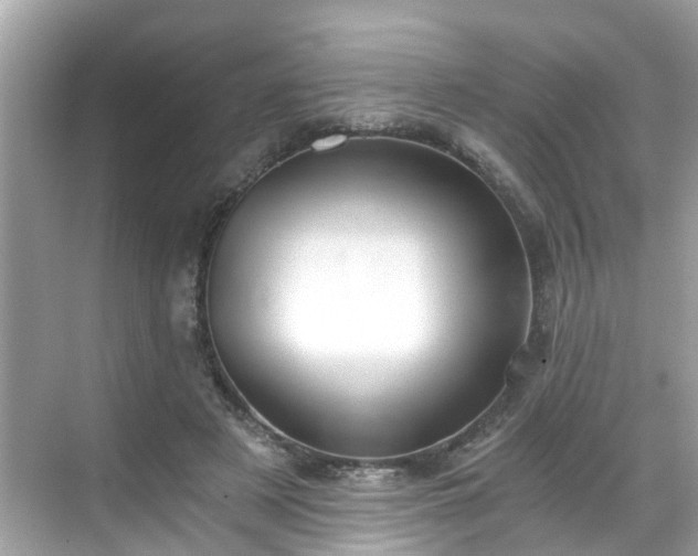 X0000068730497200605051502