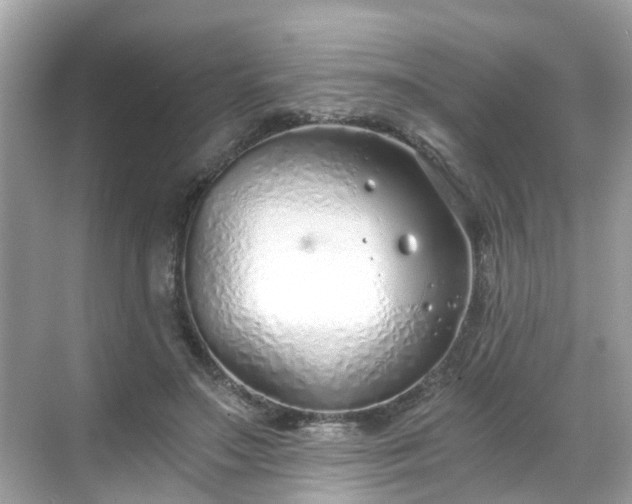 X0000068730499200605051502