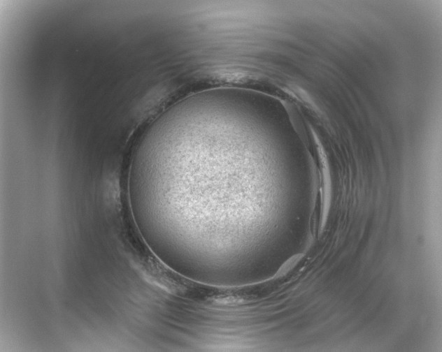 X0000068730500200605051502