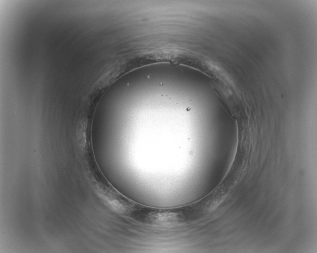 X0000068730501200605051502