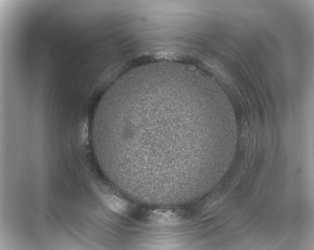 X0000068730502200605051502