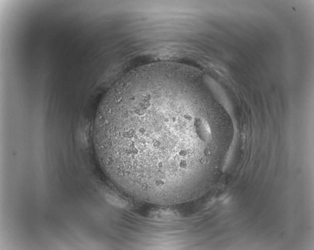 X0000068730503200605051502