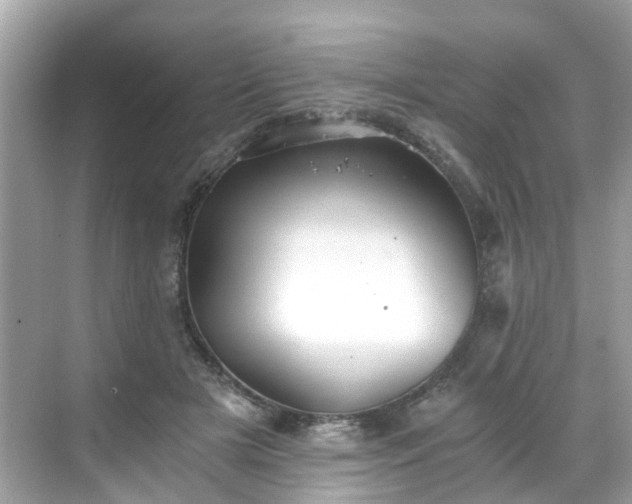 X0000068730505200605051502