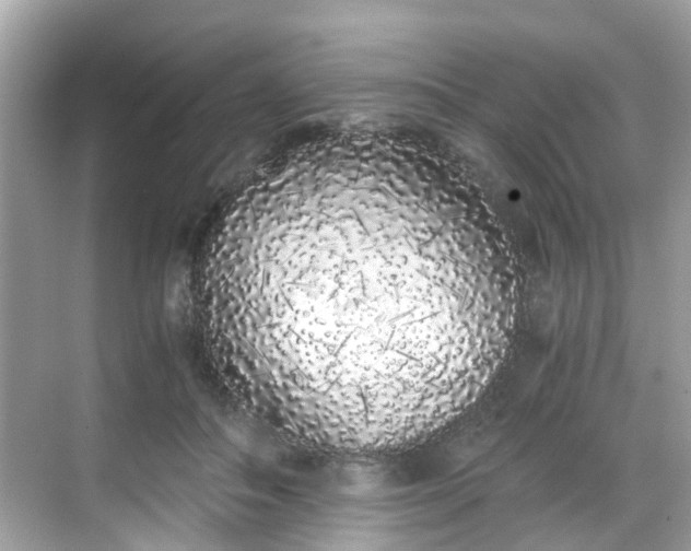 X0000068730506200605051502