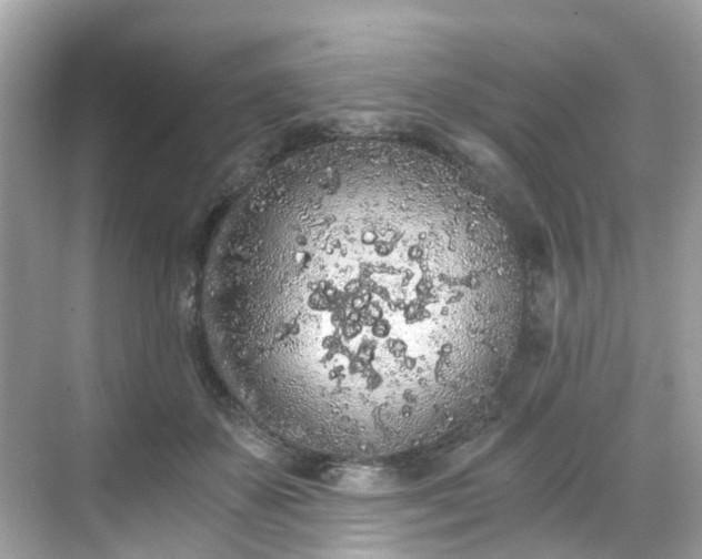 X0000068730507200605051502