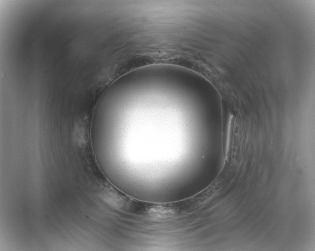 X0000068730515200605051502