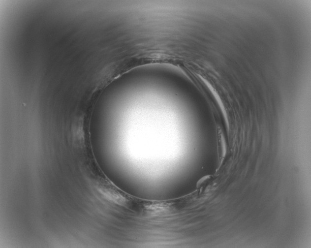 X0000068730516200605051502