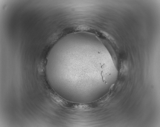 X0000068730517200605051502