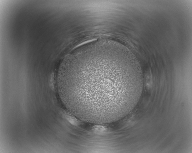 X0000068730519200605051502