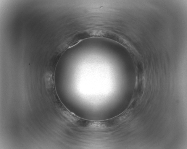 X0000068730521200605051502