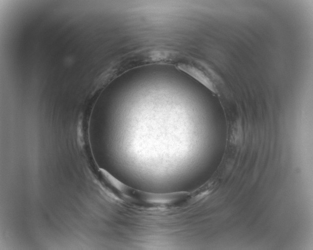 X0000068730524200605051502