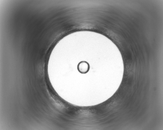 X0000068730534200605051501