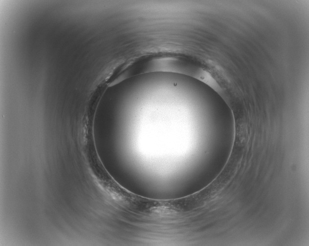 X0000068730544200605051501