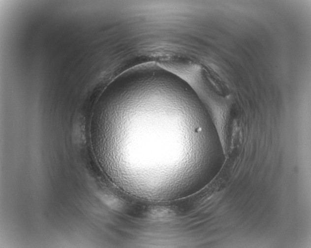 X0000068730547200605051501