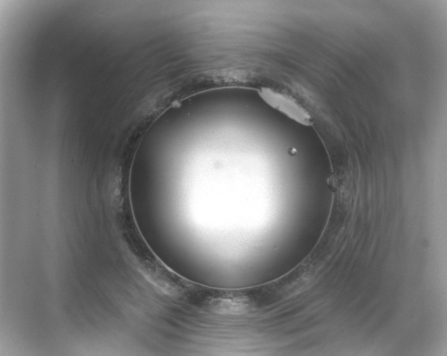 X0000068730548200605051501