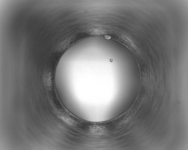 X0000068730549200605051501