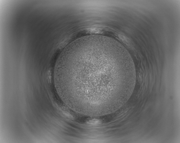 X0000068730551200605051501