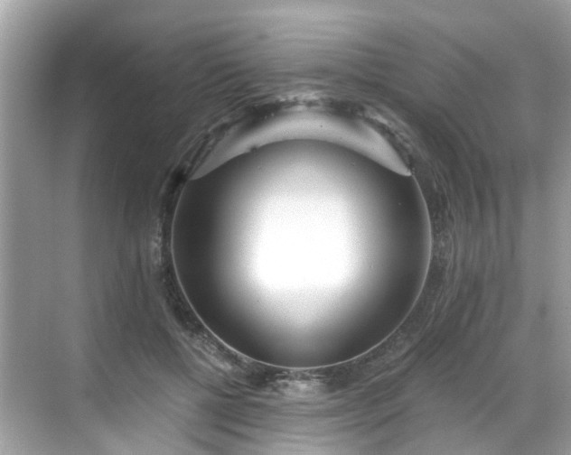 X0000068730552200605051501