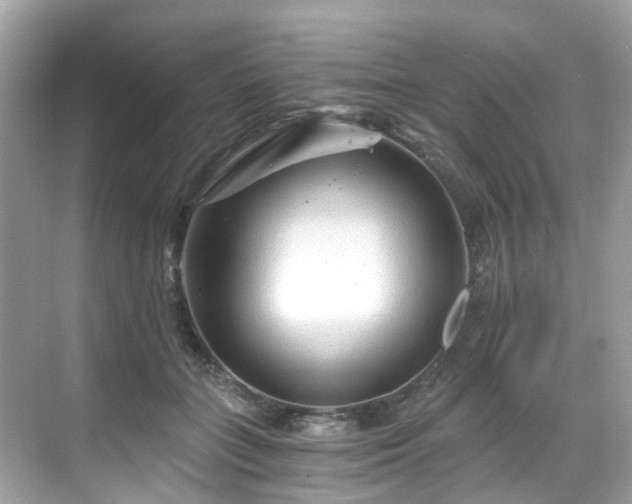 X0000068730555200605051502