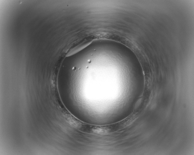 X0000068730561200605051502