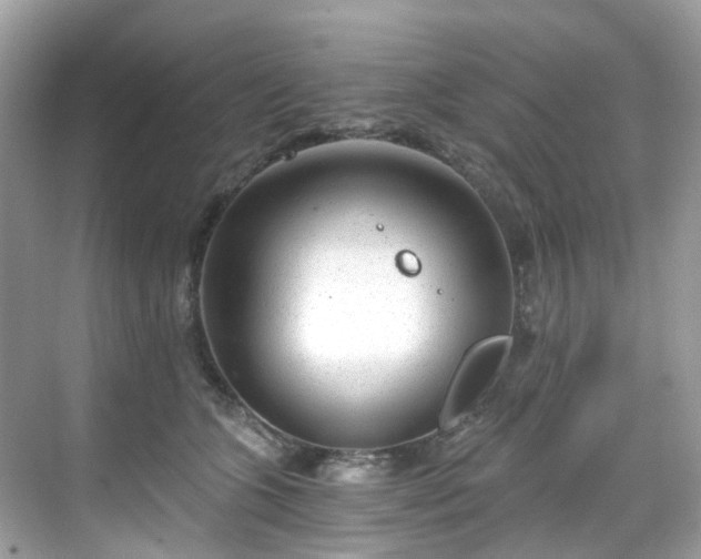 X0000068730563200605051502