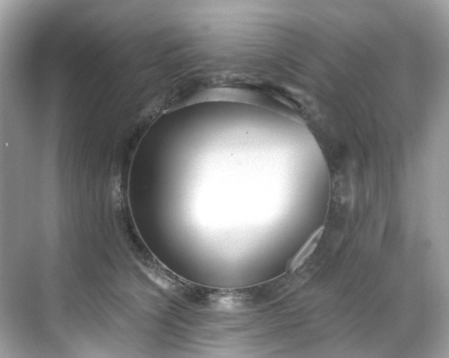 X0000068730564200605051502