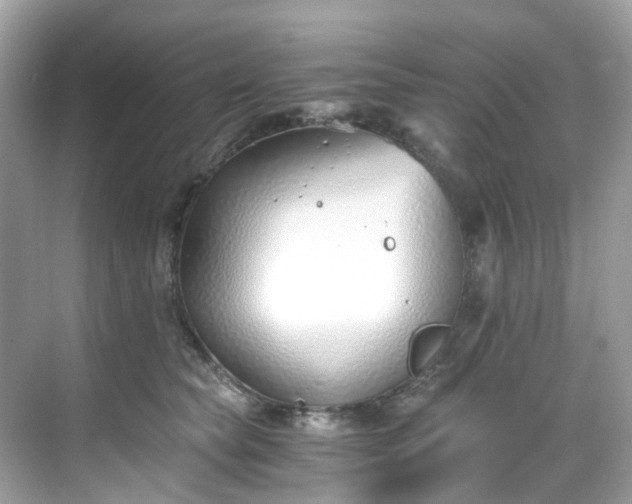 X0000068730565200605051502