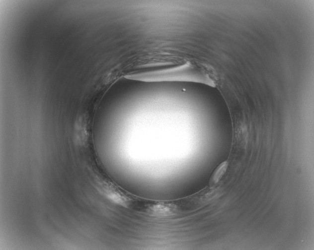 X0000068730566200605051502