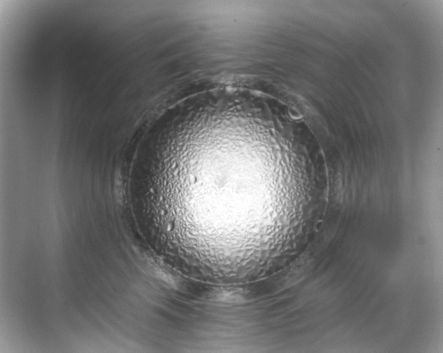 X0000068730569200605051502