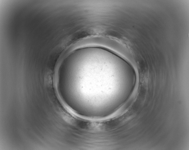 X0000068730570200605051502