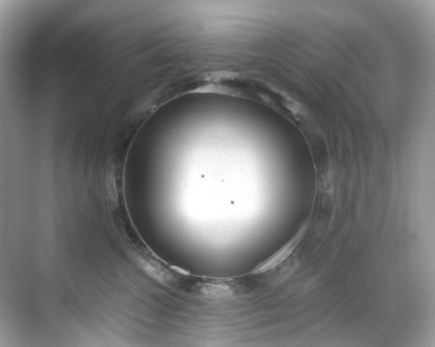 X0000068730572200605051502