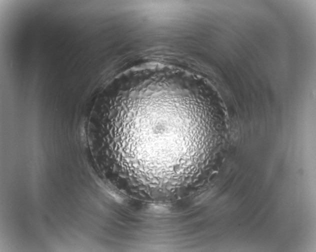 X0000068730573200605051502