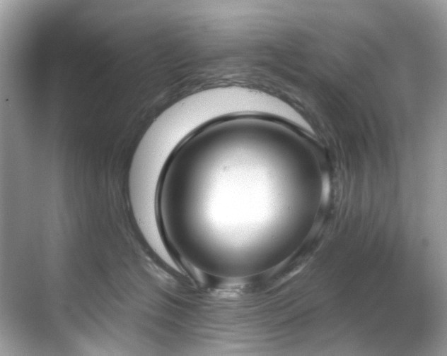 X0000068730574200605051502