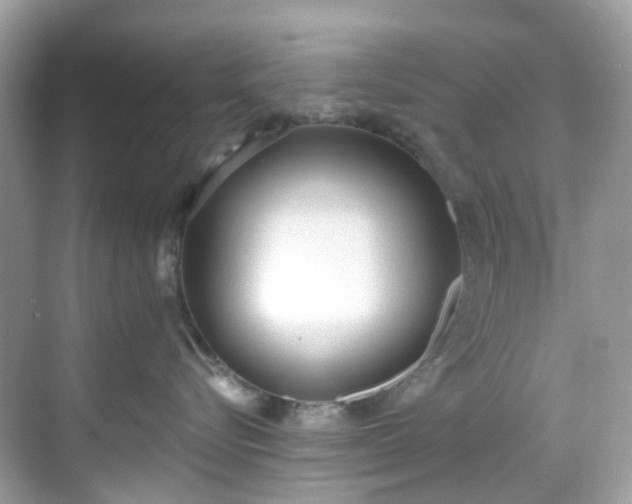 X0000068730576200605051502