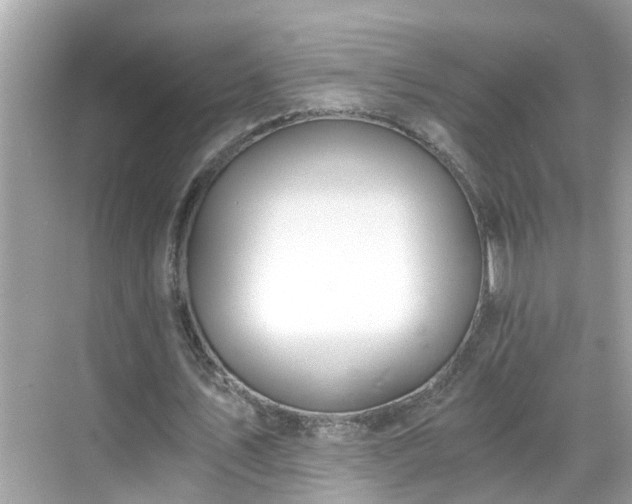 X0000068730579200605051501