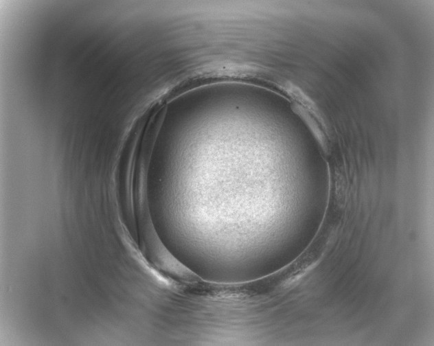 X0000068730581200605051501