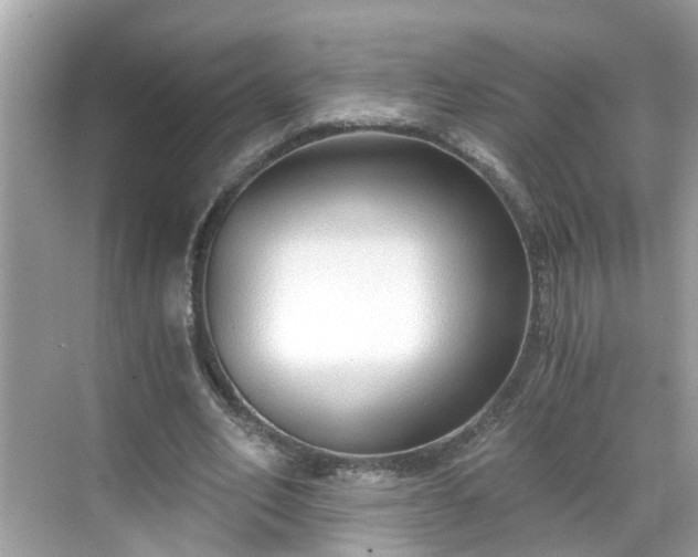 X0000068730582200605051501