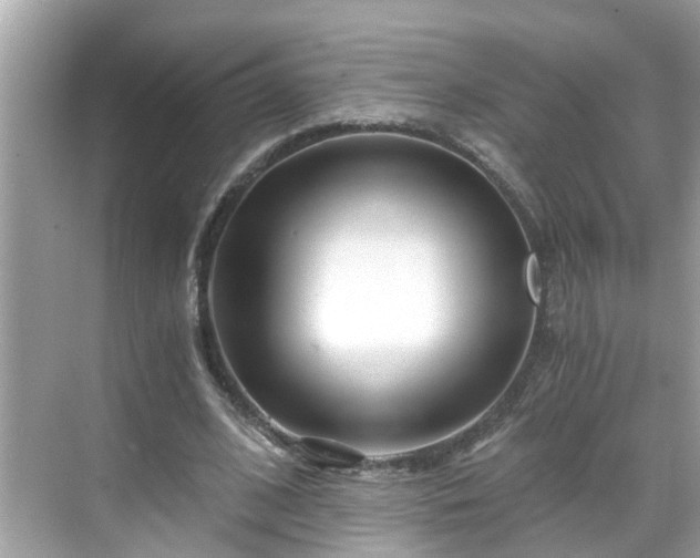 X0000068730584200605051501