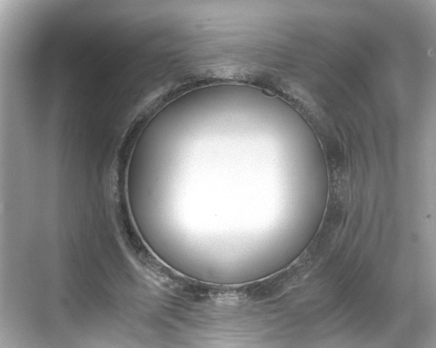 X0000068730587200605051501