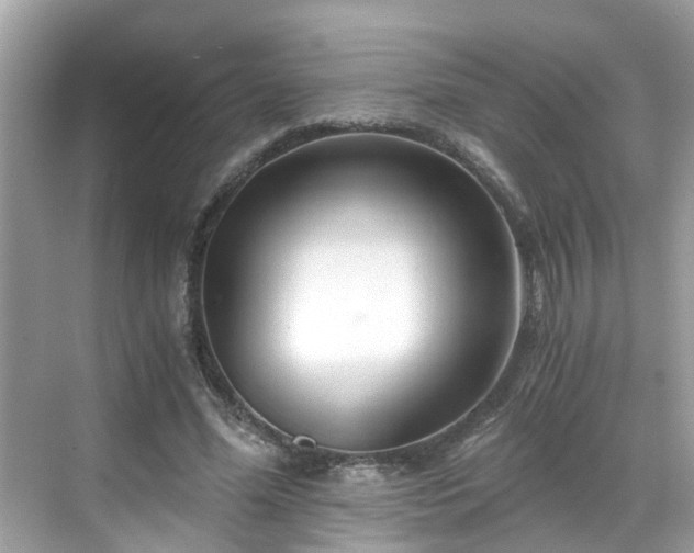 X0000068730588200605051501