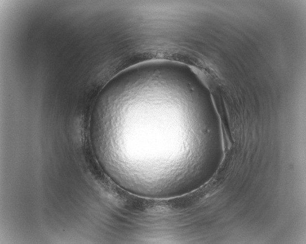 X0000068730594200605051501