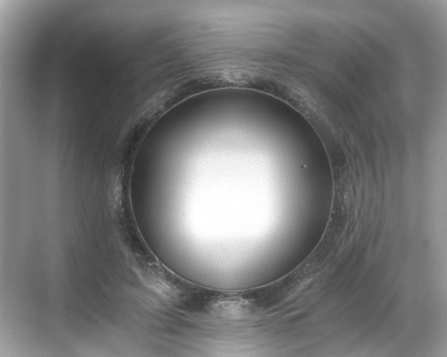 X0000068730595200605051501