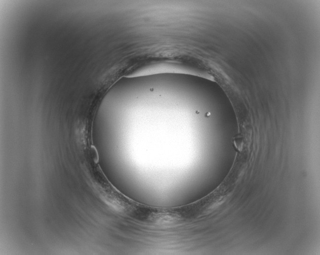 X0000068730597200605051501